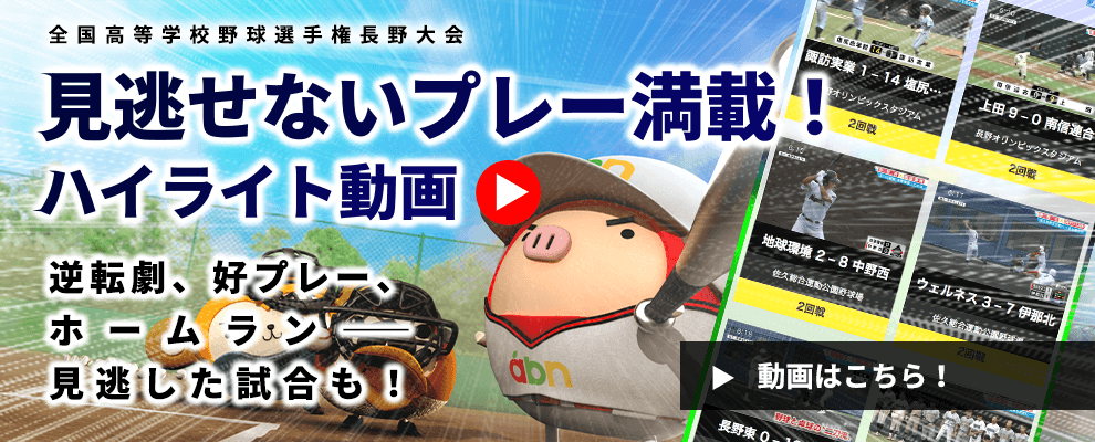 ハイライト動画