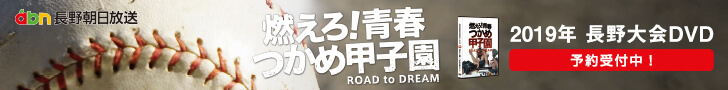 高校野球 長野大会DVD