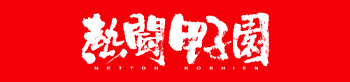 熱闘甲子園